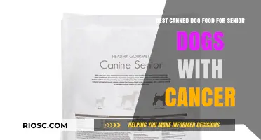 Nutritional Support for Senior Dogs with Cancer: Top Canned Dog Food Options