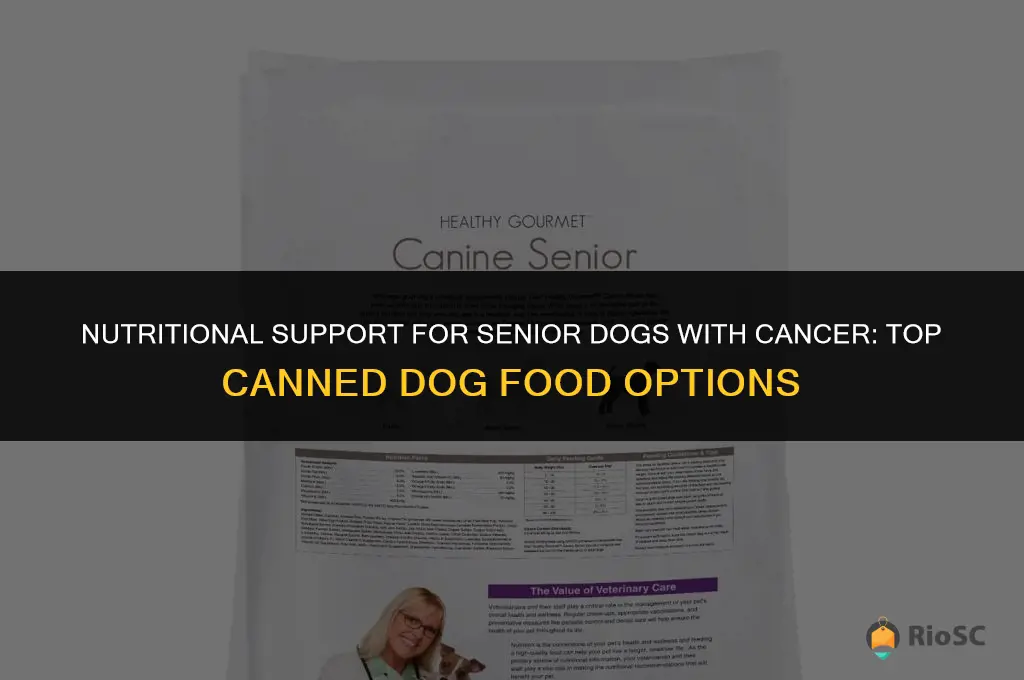 best canned dog food for senior dogs with cancer
