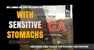 Top Picks for Senior Dogs: Gentle Canned Foods for Sensitive Stomachs