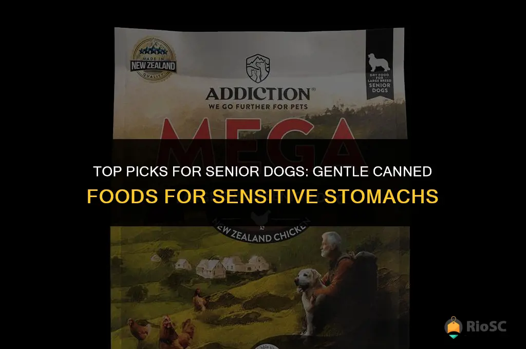 best canned dog food for senior dogs with sensitive stomachs
