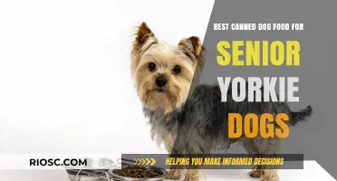 Top Picks for Senior Yorkies: The Best Canned Dog Foods to Nourish Your Aging Companion