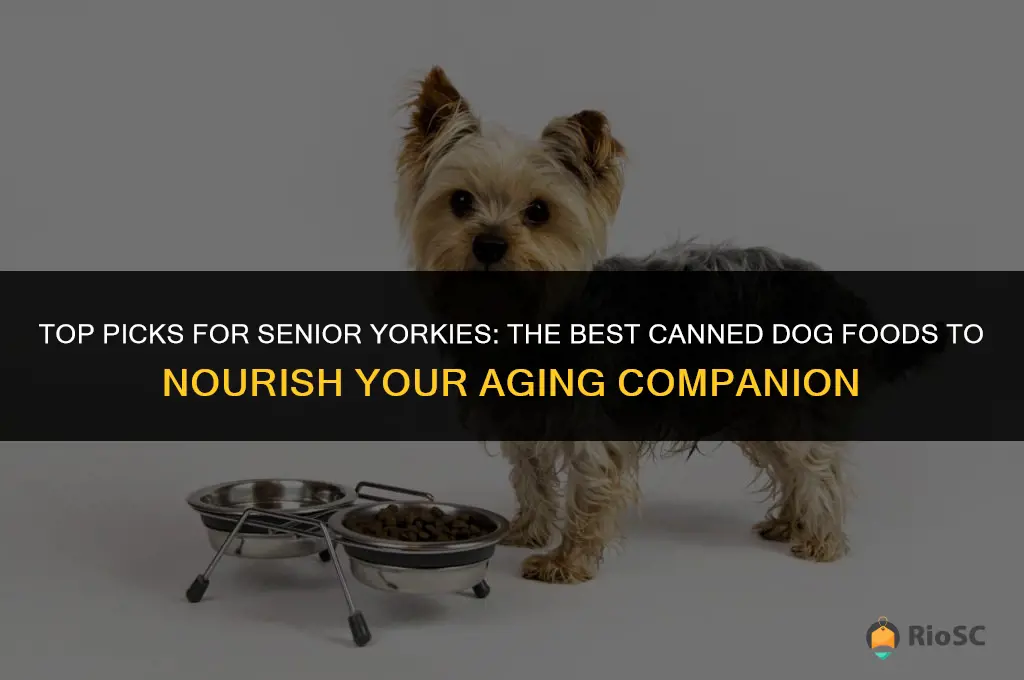 best canned dog food for senior yorkie dogs