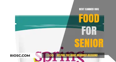 Top Picks for Senior Dogs: The Best Canned Dog Food Options