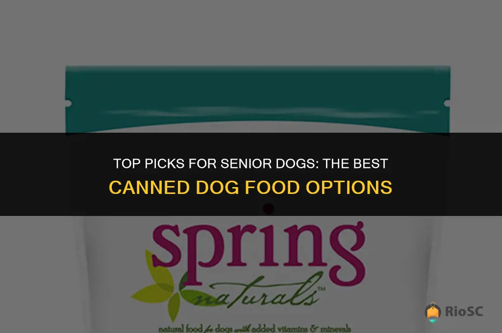 best canned dog food for senior