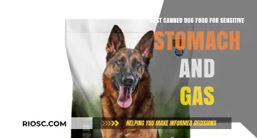 Top Picks for Soothing Sensitive Stomachs: The Best Canned Dog Foods to Ease Gas and Digestive Issues