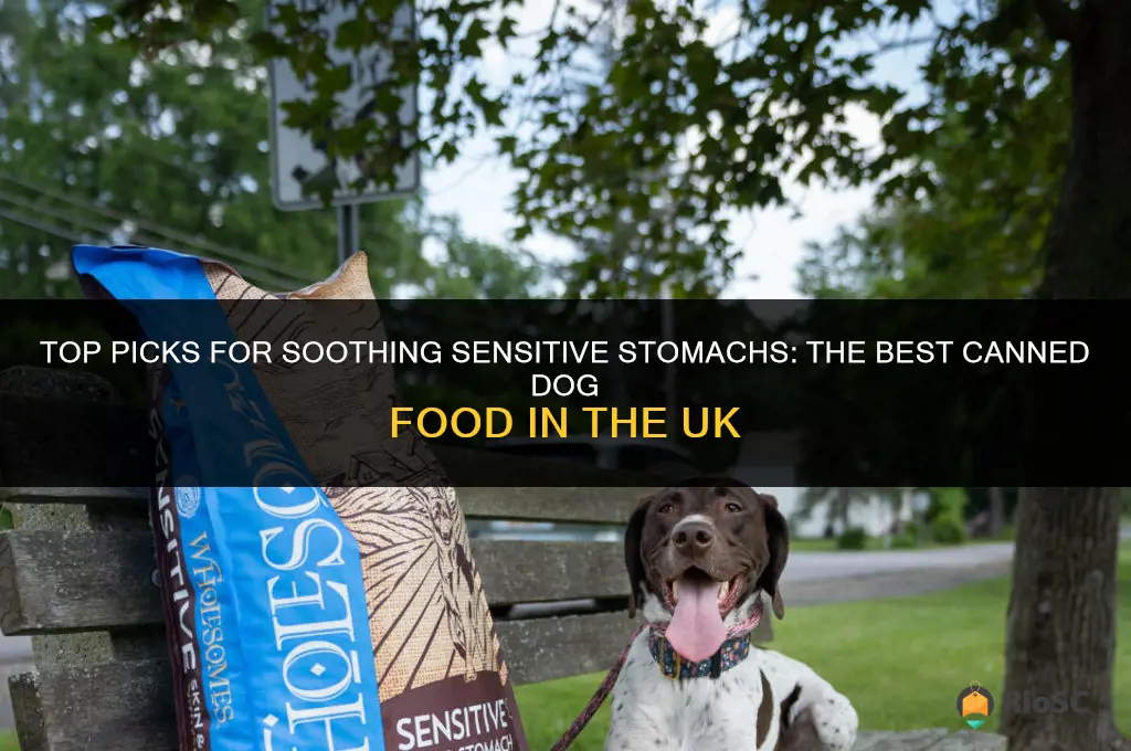 best canned dog food for sensitive stomach uk