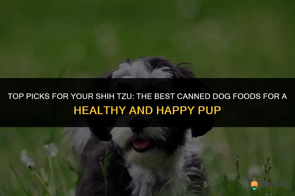 best canned dog food for shih tzu