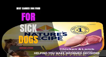 Nourishing Recovery: Top Canned Dog Food Options for Under-the-Weather Pups