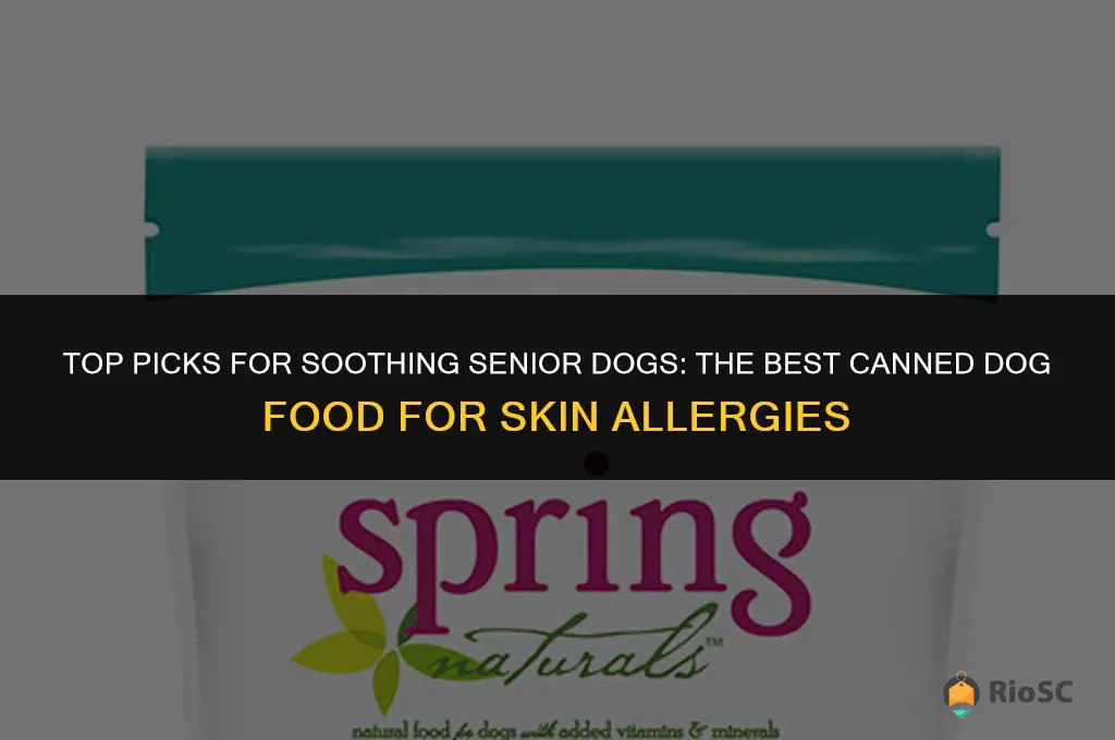 best canned dog food for skin allergies senior dogs