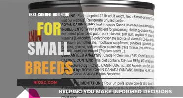 Top-Rated Canned Dog Food Options for Small Breeds: Nutrition and Taste Combined