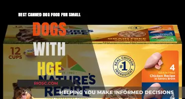 Top Picks for Canned Dog Food: Nourishing Small Dogs with Heartworm Disease