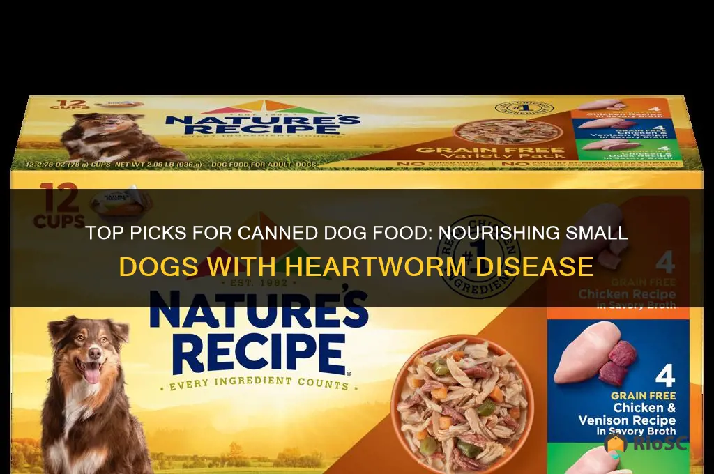 best canned dog food for small dogs with hge