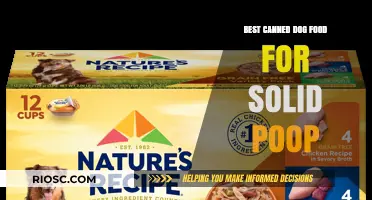 Top Picks for Tummy-Friendly Canned Dog Food: Achieving Solid Poop Perfection