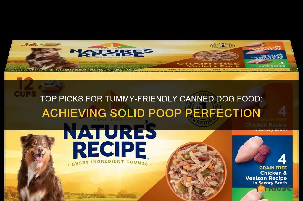 best canned dog food for solid poop