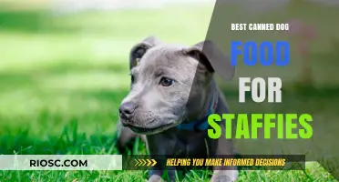 Top-Rated Canned Dog Food Options for Staffordshire Bull Terriers