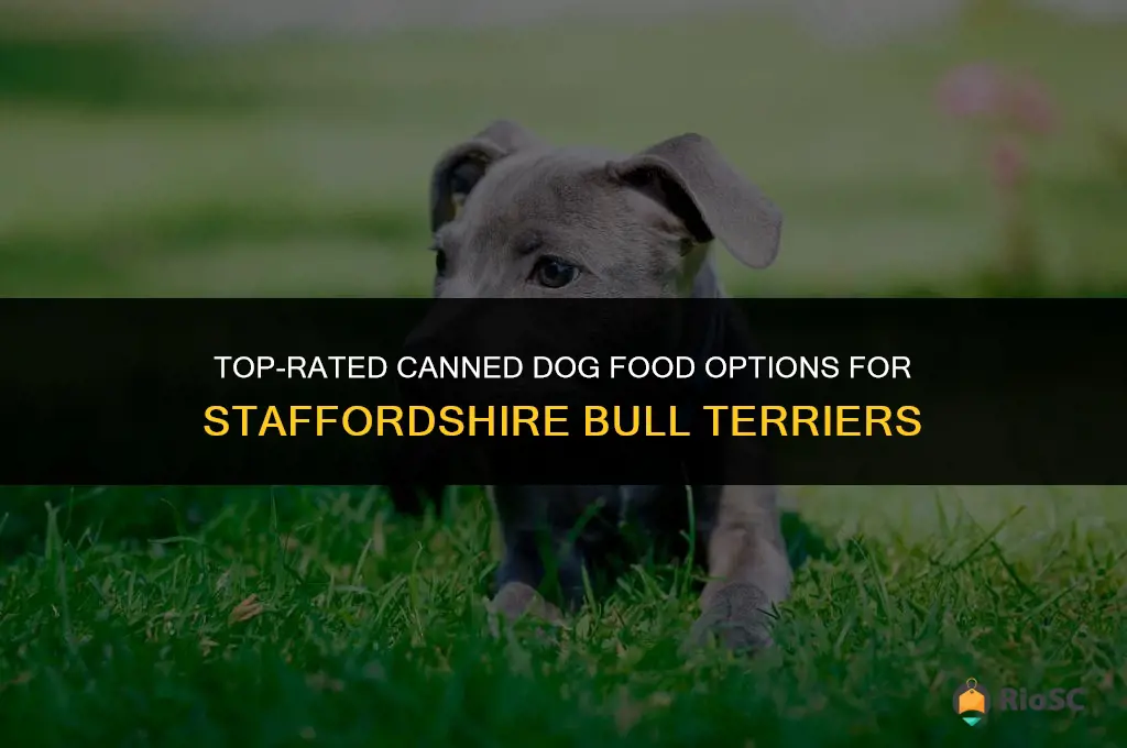 best canned dog food for staffies