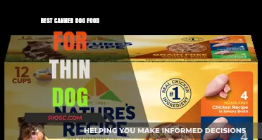 Top Picks for Nourishing Your Thin Dog: The Best Canned Dog Foods to Boost Their Health