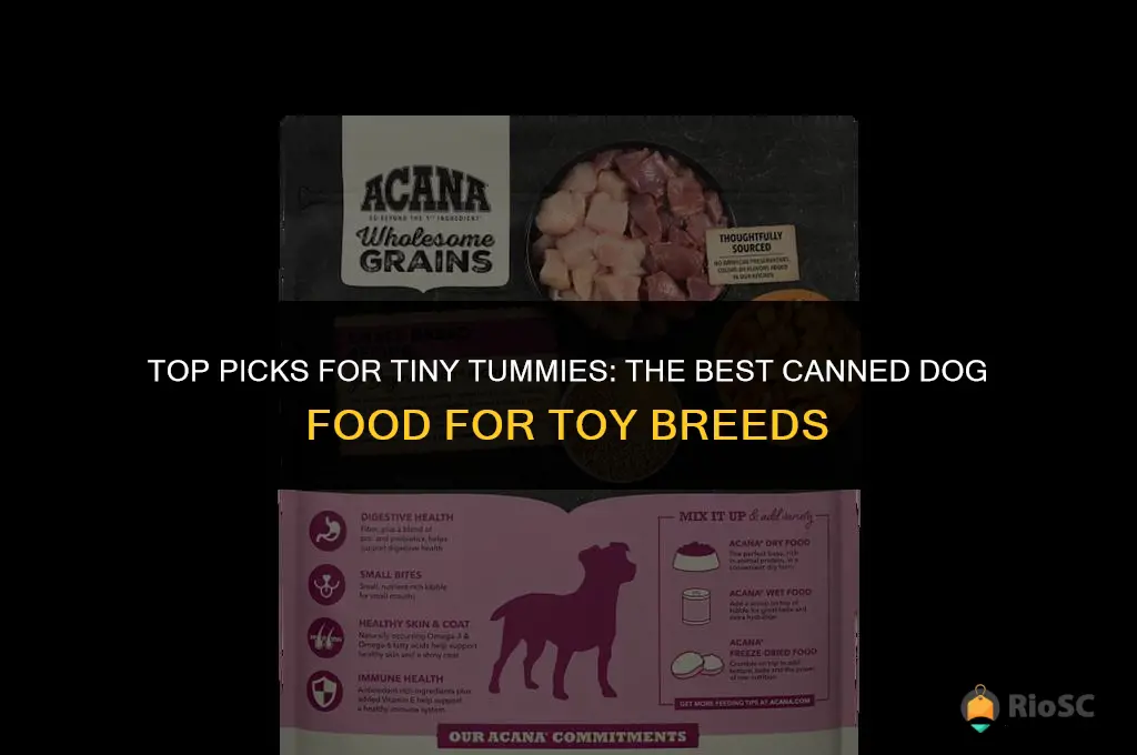 best canned dog food for toy breed