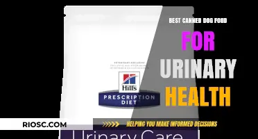 Top Picks for Your Pup's Urinary Health: The Best Canned Dog Foods
