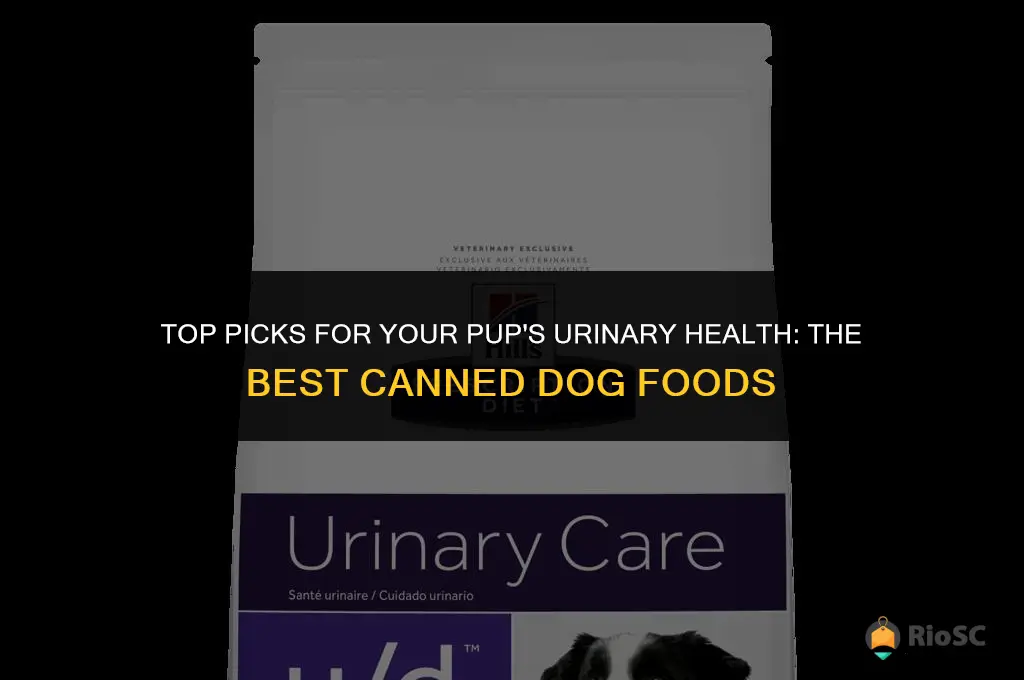 best canned dog food for urinary health