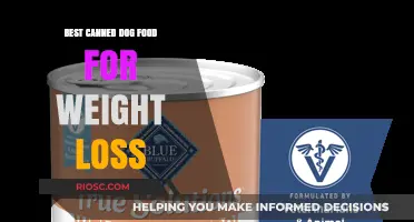 Top Canned Dog Food Options to Support Healthy Weight Loss in Your Pet