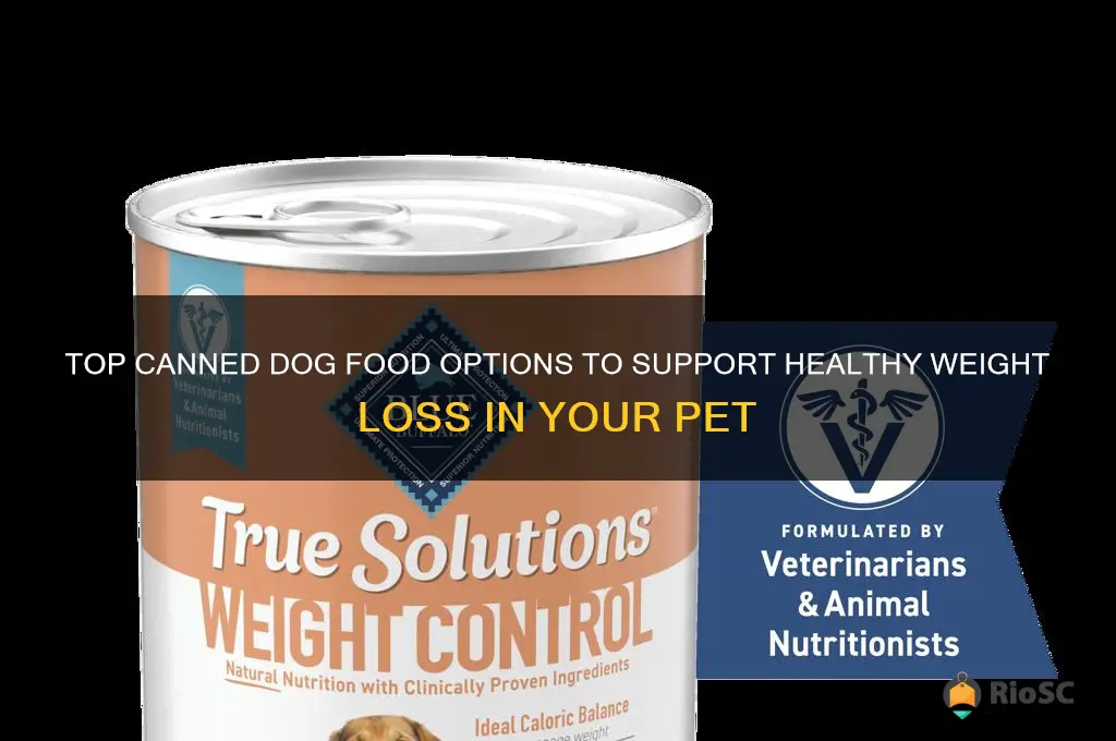 best canned dog food for weight loss