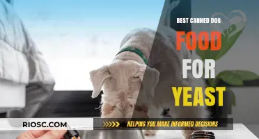 Top Picks for Canned Dog Food to Combat Yeast Infections