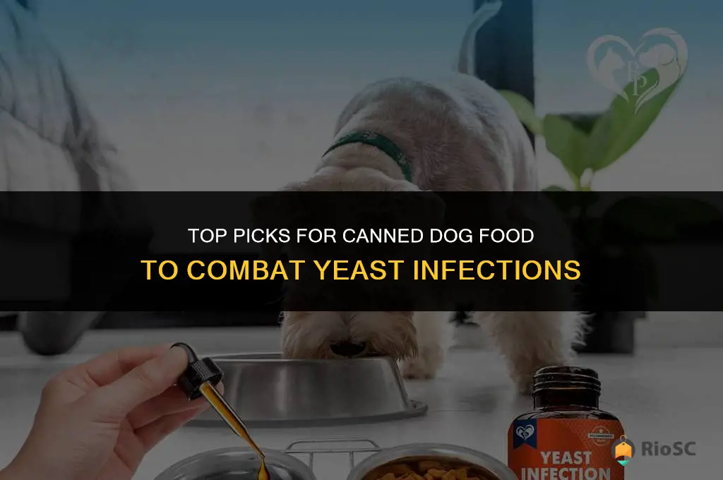 best canned dog food for yeast