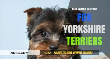 Top Picks: Premium Canned Dog Food for Yorkshire Terriers