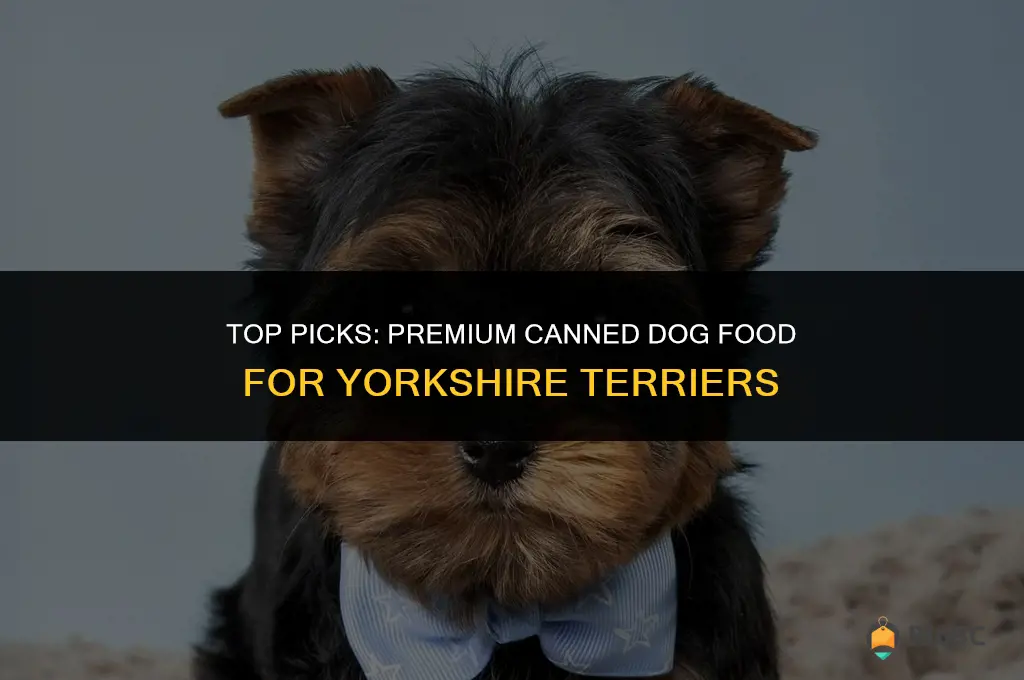 best canned dog food for yorkshire terriers
