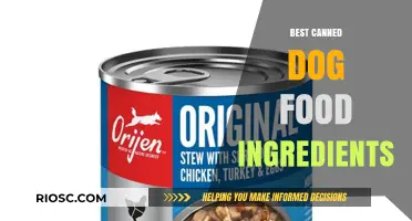 Unveiling the Top Ingredients in Premium Canned Dog Food: A Comprehensive Guide