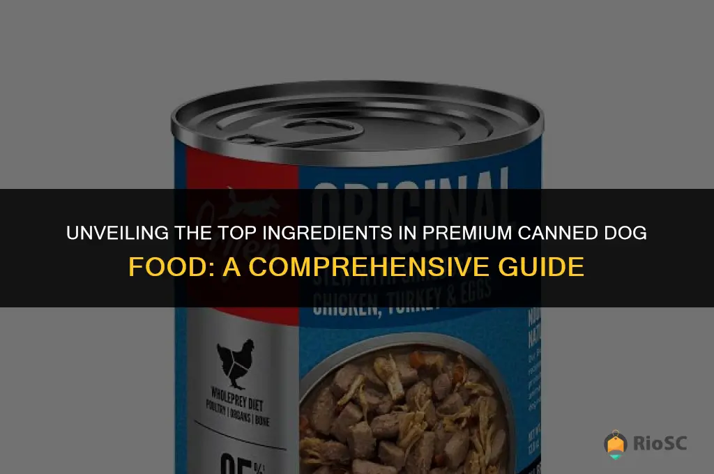 best canned dog food ingredients