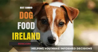 Top Picks for Your Furry Friend: The Best Canned Dog Food Options in Ireland
