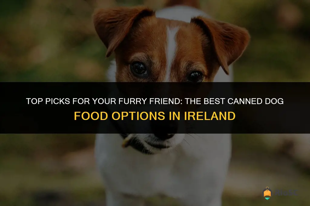 best canned dog food ireland