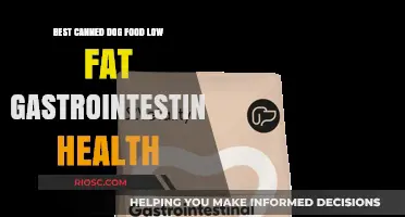 Optimal Nutrition for Sensitive Stomachs: Top Low-Fat Canned Dog Foods for Gastrointestinal Health