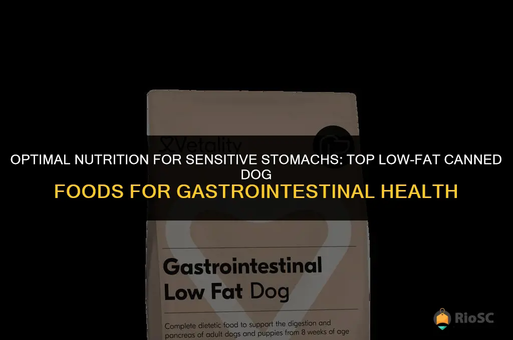 best canned dog food low fat gastrointestinal health
