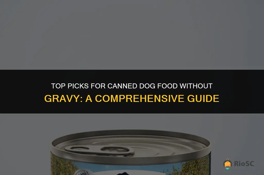 best canned dog food no gravy