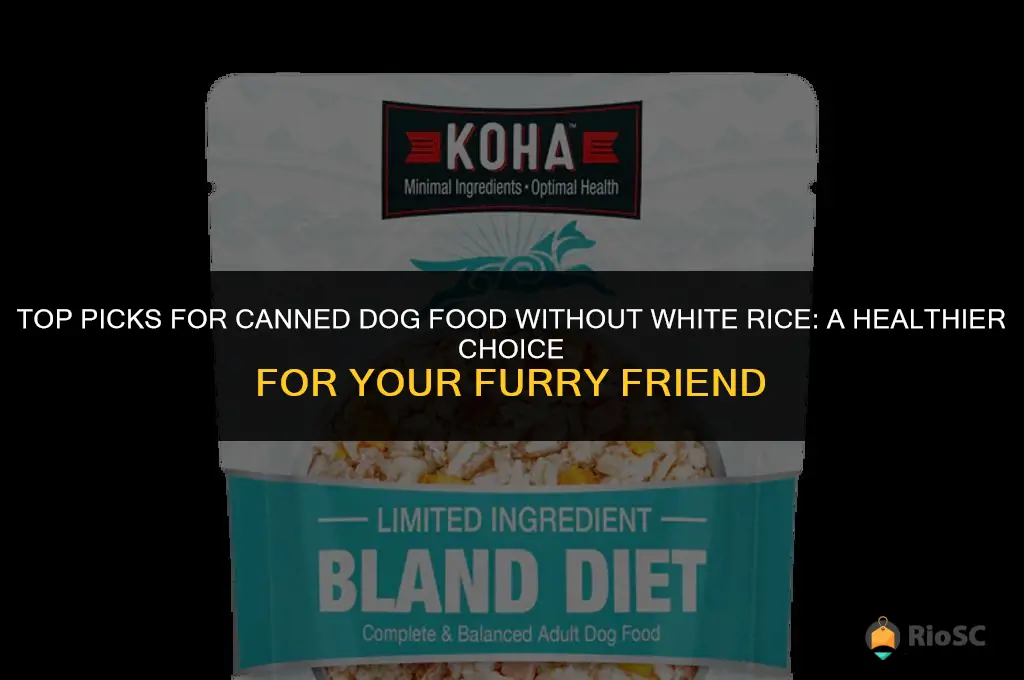 best canned dog food no white rice