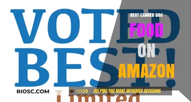 Top-Rated Canned Dog Food Options Available on Amazon