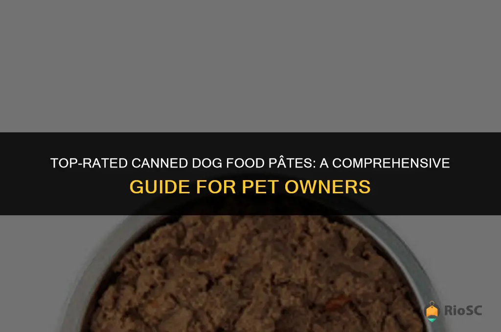 best canned dog food pate
