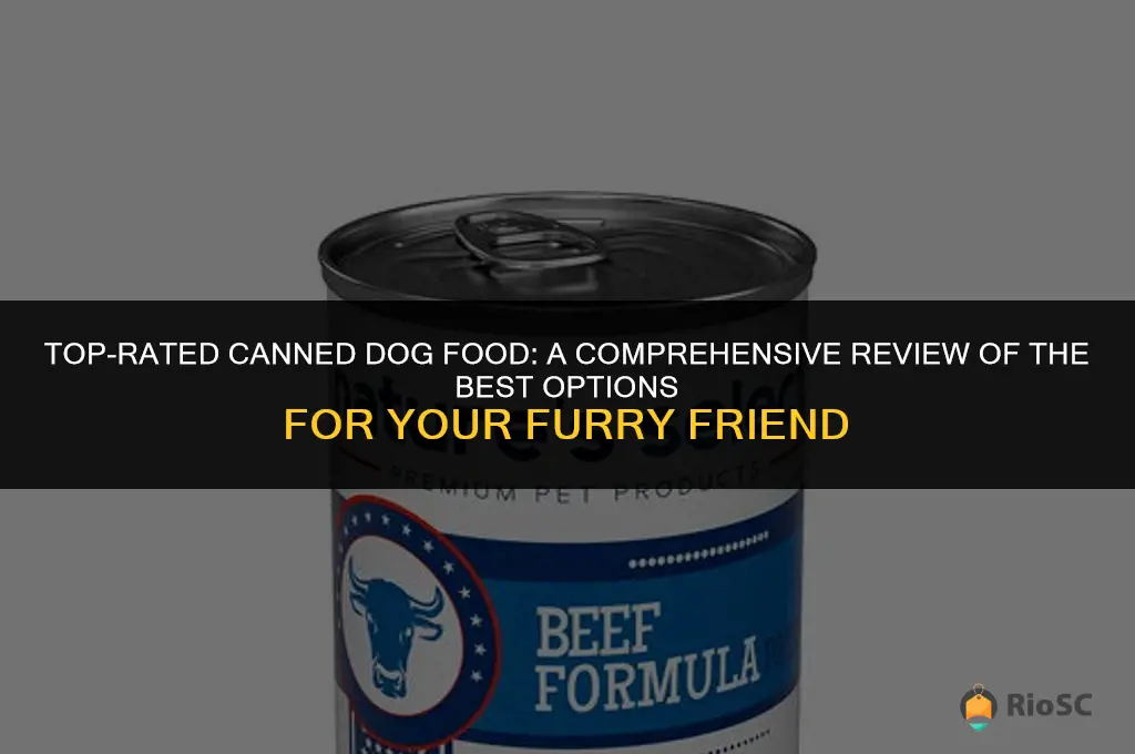 best canned dog food reviews