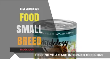 Top Picks for Your Petite Pooch: The Best Canned Dog Foods for Small Breeds