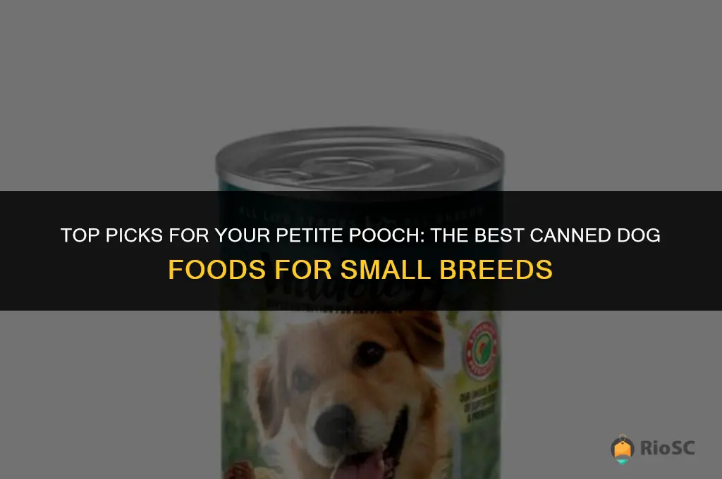 best canned dog food small breed