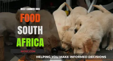Top-Rated Canned Dog Food Options in South Africa: A Comprehensive Guide for Pet Owners