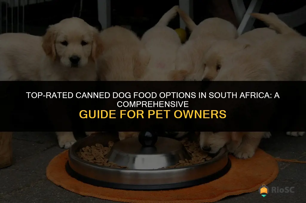 best canned dog food south africa