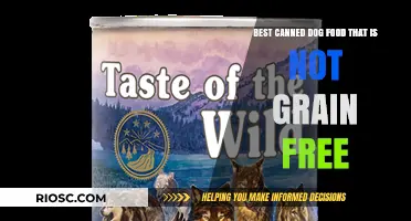Top Picks for Canned Dog Food: Delicious and Nutritious Options with Grains