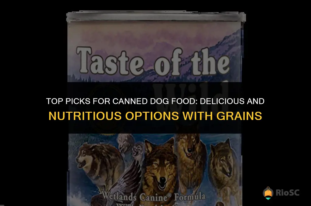 best canned dog food that is not grain free
