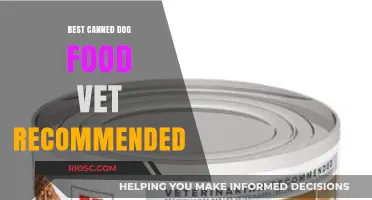 Top Vet-Recommended Canned Dog Foods: Nutritious Choices for Your Furry Friend