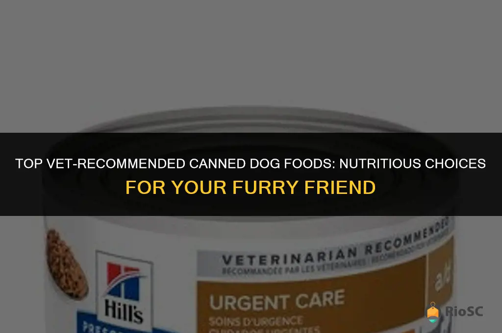 best canned dog food vet recommended