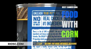 Top Picks for Canned Dog Food with Corn: A Nutritious Choice for Your Furry Friend